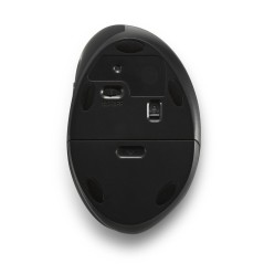 Kensington Pro Fit Ergo Wireless Mouse - Optimal Comfort & Precision in Black